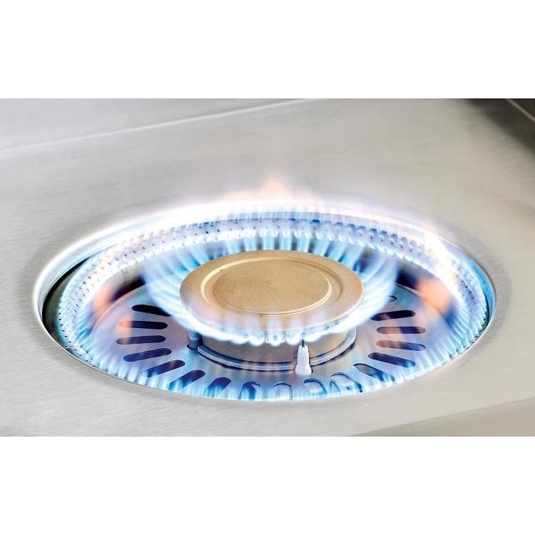 Alfresco 24 Inch Versa Power Propane Gas Cooker - Image 6