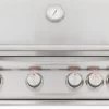 Blaze LTE 32 Inch 4-Burner Natural Gas Grill With Rear Burner And Lights